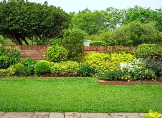 landscaping services South Canal